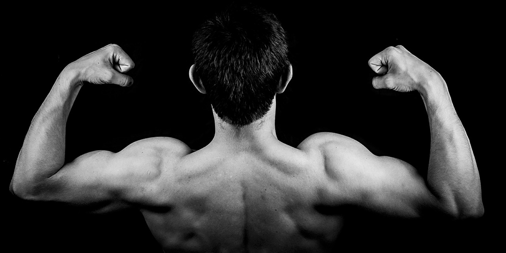 Musculation