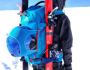 Test | GREGORY : Targhee 32