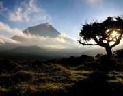 Les Açores : un paradis trouvé !