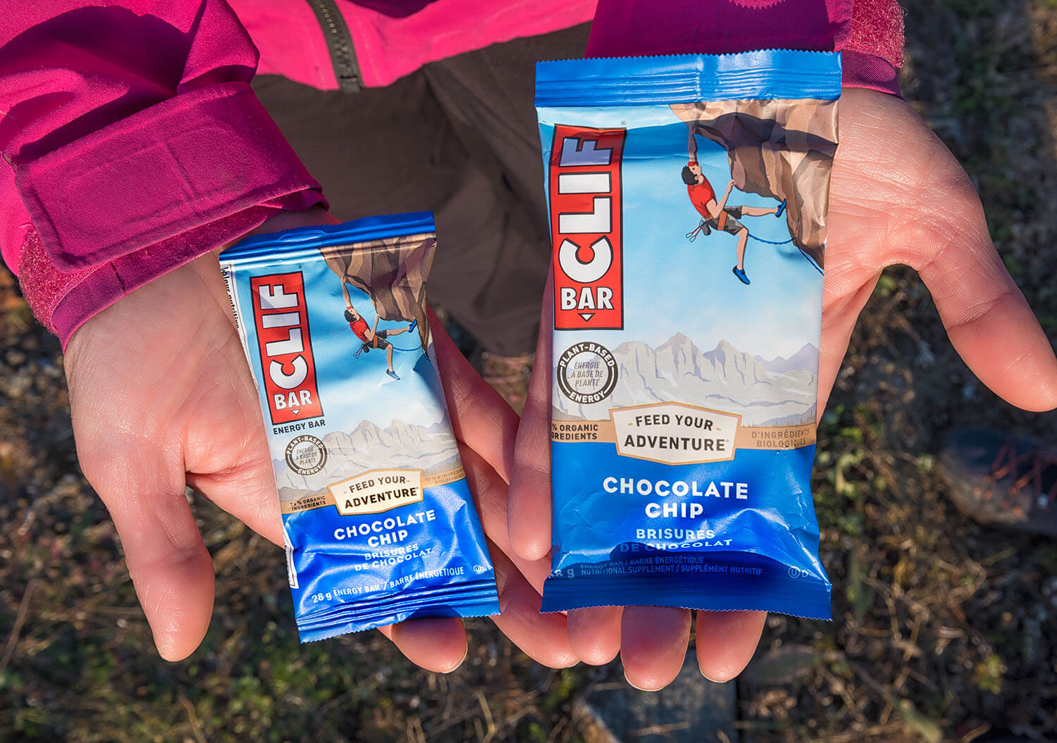 Nouvelle | CLIF a fait des petits !