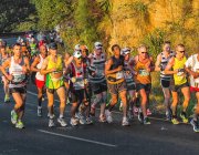 Courir un premier marathon rajeunit notre aorte de 4 ans !