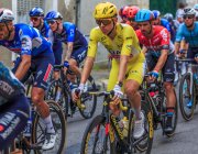 Manivelles de vélo : les géants raccourcissent