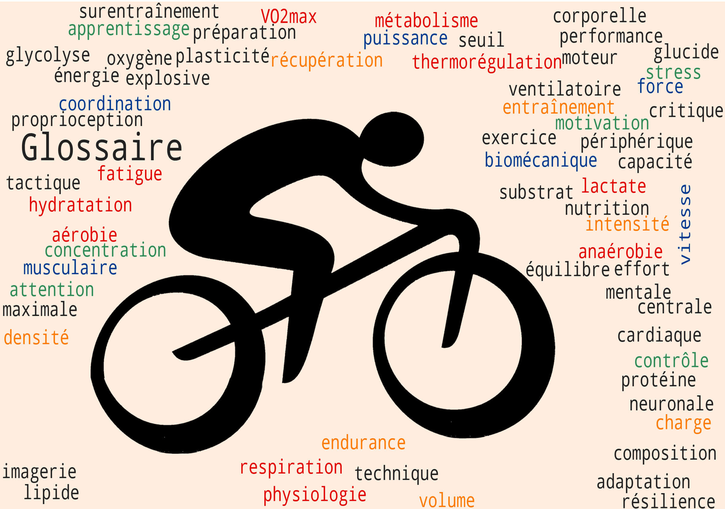 Petit quiz... sur le jargon de l'entraînement !